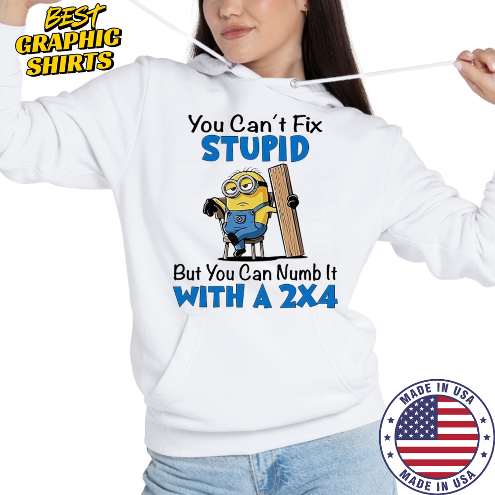 Minion you can’t fix stupid but you can numb it with a 2×4 shirt Hoodie