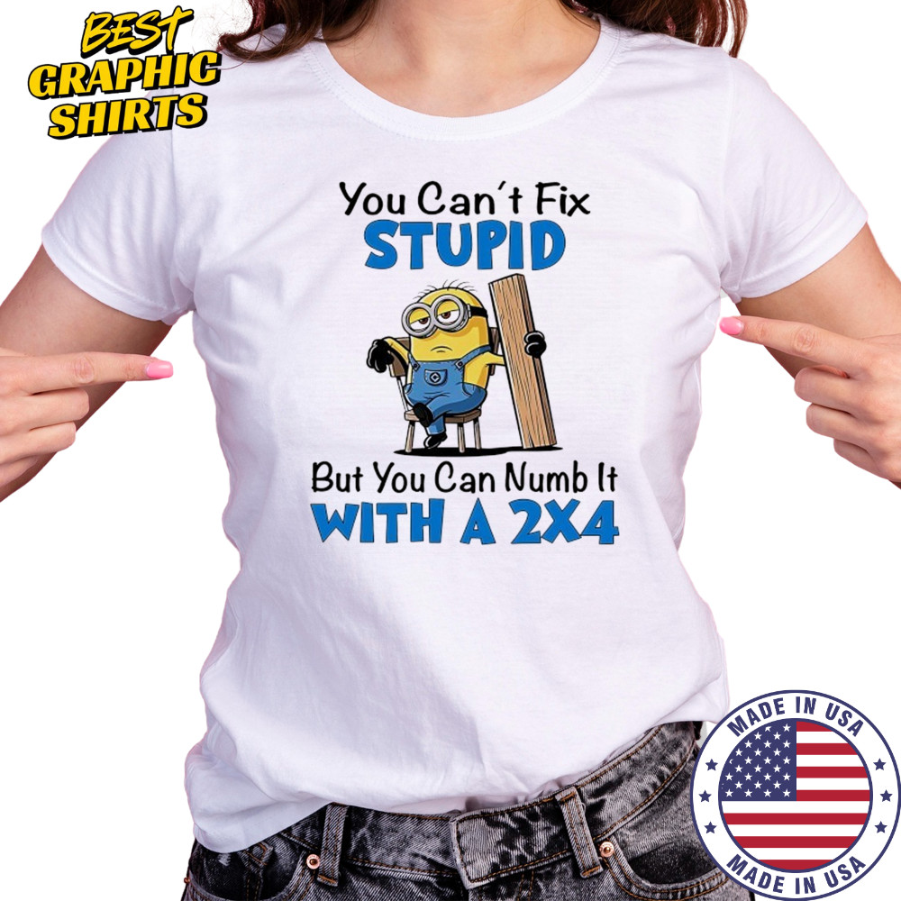 Minion you can’t fix stupid but you can numb it with a 2×4 shirt Women's T-shirt