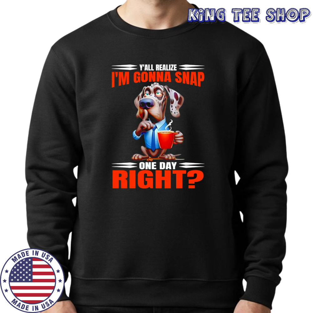 Dog y’all realize I’m gonna snap one day right shirt Sweatshirt
