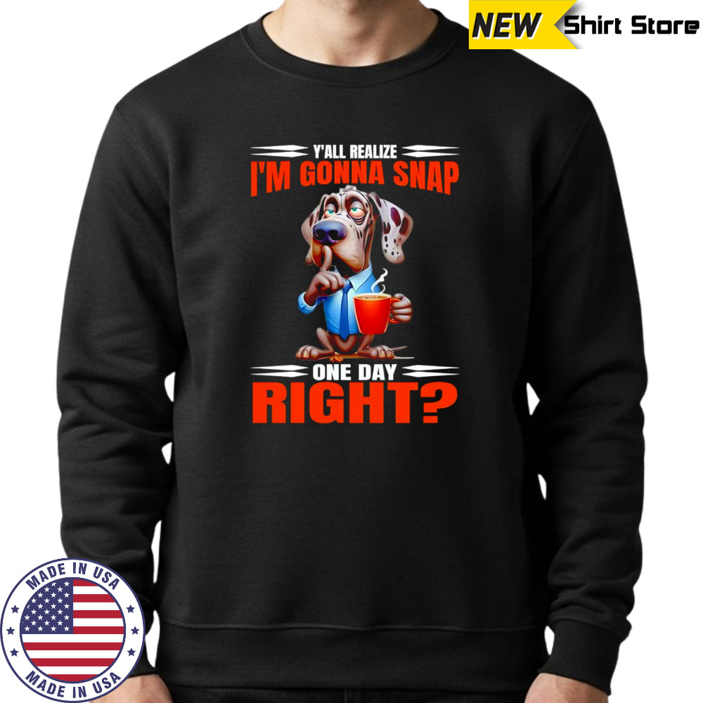 Dog y’all realize I’m gonna snap one day right shirt Sweatshirt