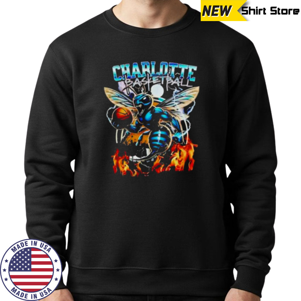 Charlotte Hornets 2025 NBA Summer League Champions vintage shirt Sweatshirt