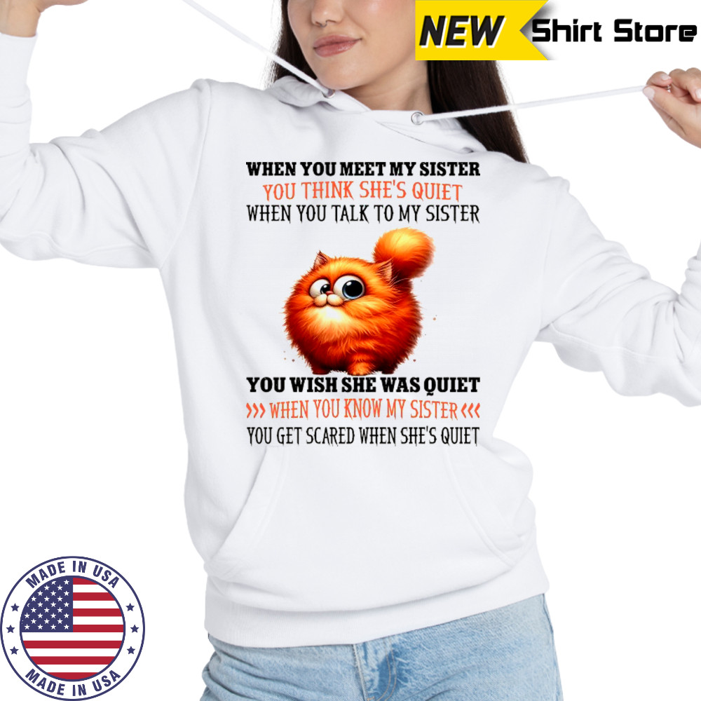 Cat when you meet my sister you think she’s quiet when you talk to my sister shirt Hoodie