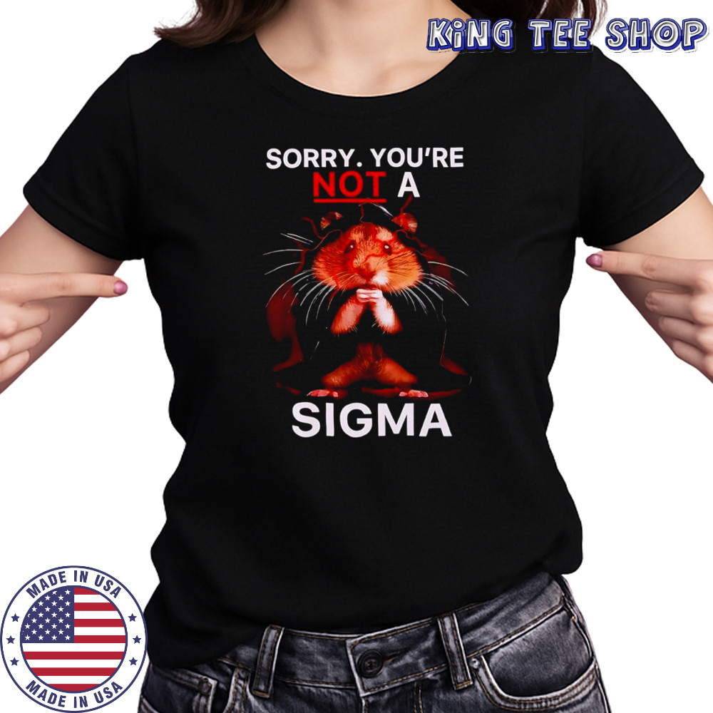 Hamster Sorry Youre Not A Sigma T-Shirt Women's T-shirt