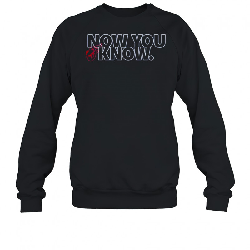 Indiana Fever Now You Know T-shirt Sweatshirt