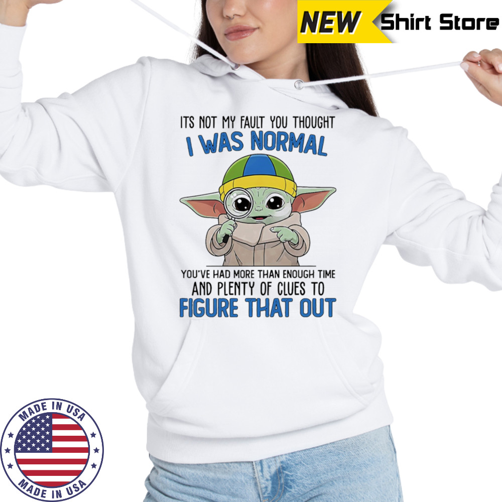 Baby Yoda its not my fault you thought I was normal shirt Hoodie