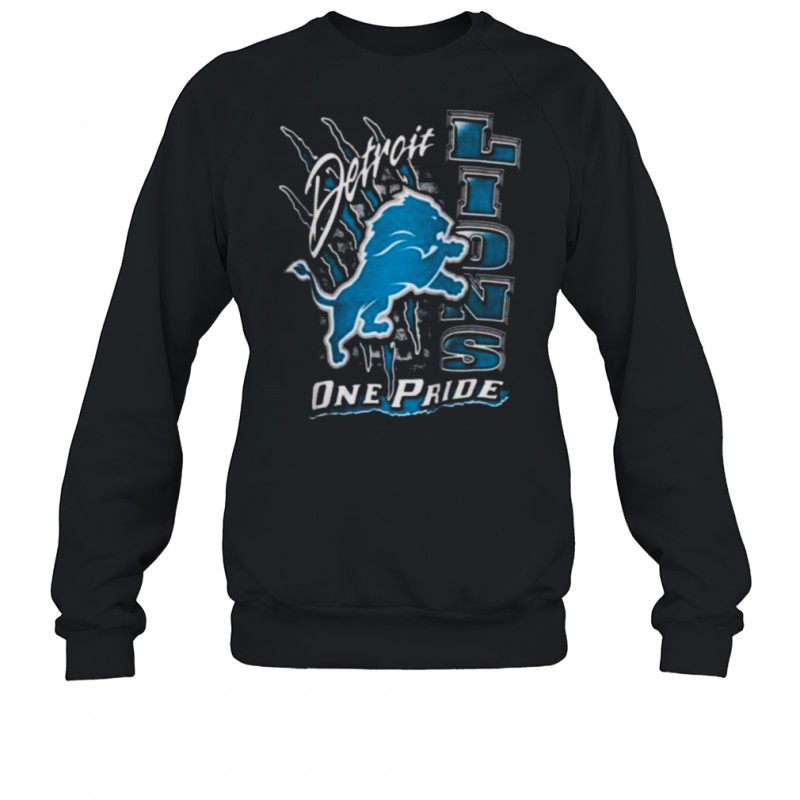 Detroit Lions One Pride Vintage Shirt Sweatshirt