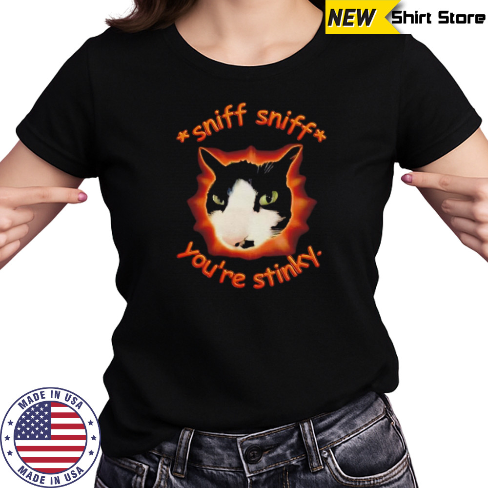 Sniff sniff you’re stinky cat meme shirt Women's T-shirt